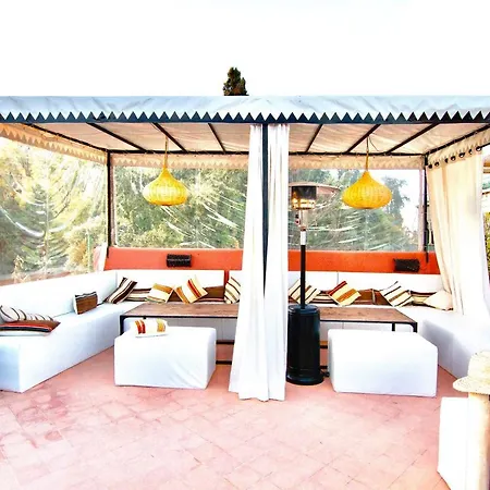 Riad Anrich-3